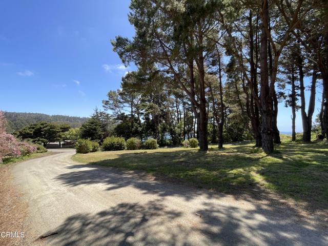 45300 Headlands Drive, Mendocino CA: https://media.crmls.org/mediaz/1d391caa-b627-48c1-a048-4f1eb84dc23b.jpg