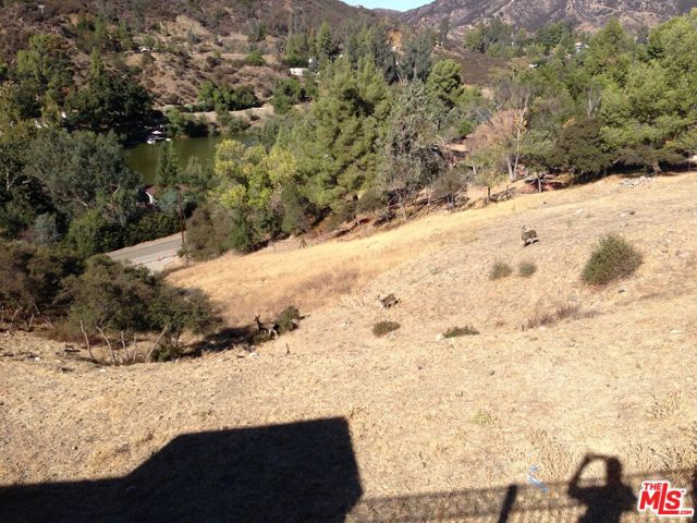 29282 CIRCLE Drive photo 37