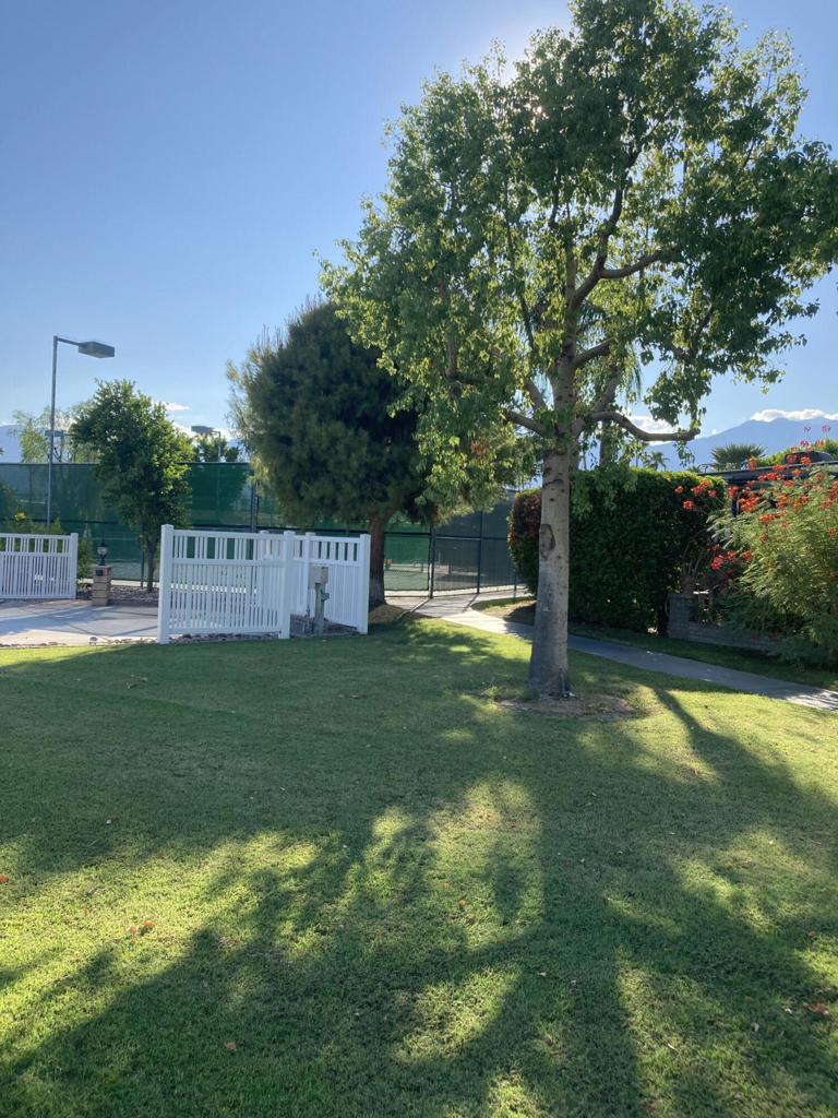 MLS #219135740DA image #10