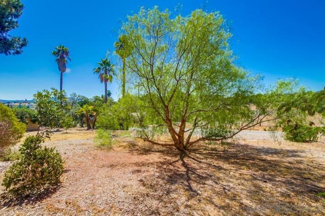 2336 Rancho Diego Ct, Escondido CA: https://media.crmls.org/mediaz/1d4a1ad4-0bd3-47ce-a650-75458b08dafa.jpg