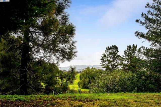 2200 Oneida Cir, Danville CA: https://media.crmls.org/mediaz/1d548db5-410d-4cb2-b9f5-722abca27ff0.jpg