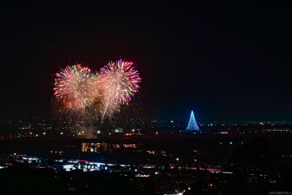 MLS #250031602SD img 27