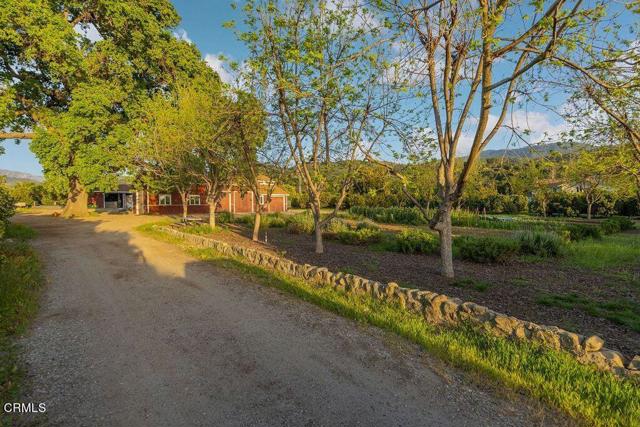 Detail Gallery Image 60 of 62 For 3359 Reeves Rd, Ojai,  CA 93023 - 10 Beds | 7/1 Baths