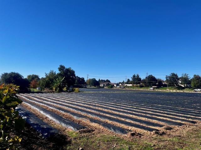 7314 Santa Juanita Avenue, Orangevale CA: https://media.crmls.org/mediaz/1d87e45d-938d-42e9-9b92-58509b755e3e.jpg