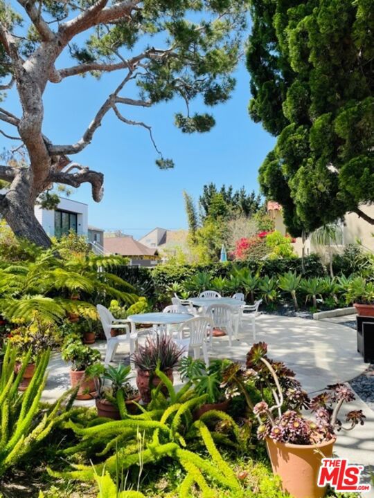 119 Paloma Avenue, Venice CA: https://media.crmls.org/mediaz/1d94a33d-82cd-4e5b-9670-cc3b339c1bbe.jpg
