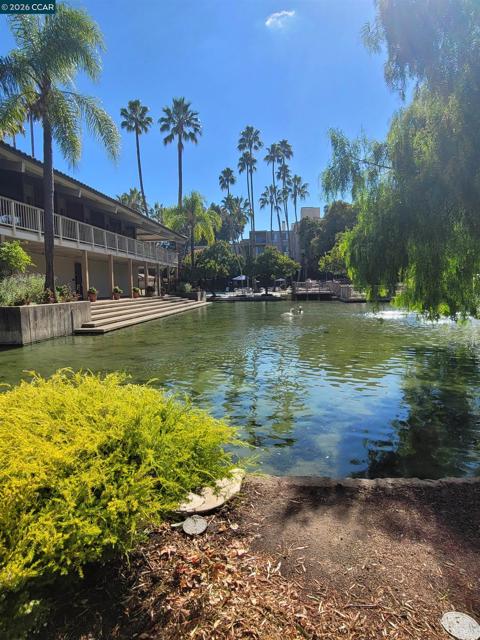 310 N Civic Dr., Walnut Creek CA: https://media.crmls.org/mediaz/1d94e191-d9da-4110-a0a3-e323d3ec5e3a.jpg