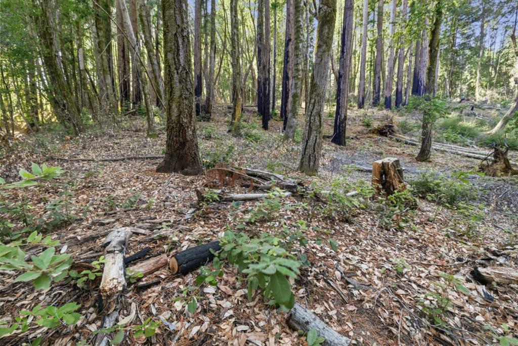 MLS #ML81986063 image #16