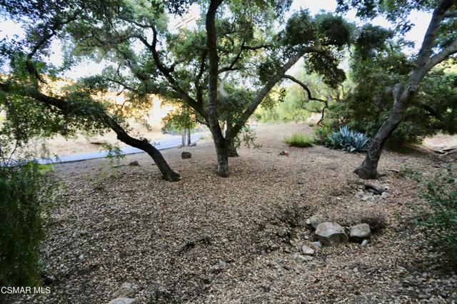 371 Acacia Lane, Newbury Park CA: https://media.crmls.org/mediaz/1da3e0df-3d66-45b5-805b-10a1f8b4c2bd.jpg
