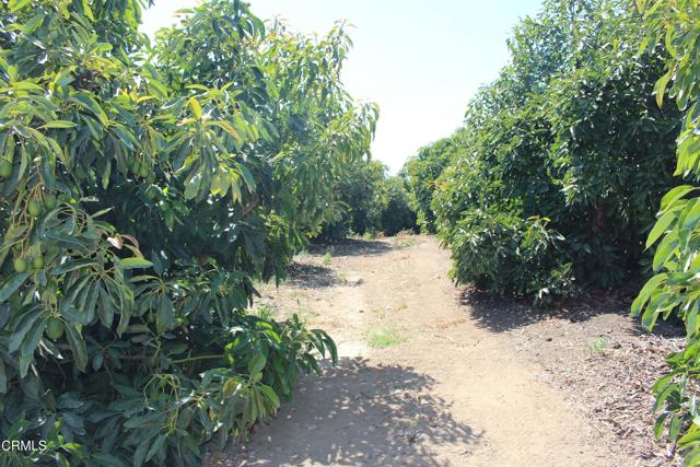 Detail Gallery Image 64 of 72 For 6150 Baja Vista Dr, Somis,  CA 93066 - 7 Beds | 5/2 Baths