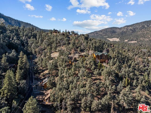 2222 Gimmewald Place, Pine Mountain Club CA: https://media.crmls.org/mediaz/1db70363-e64b-478f-8446-b2eb32a59aa9.jpg
