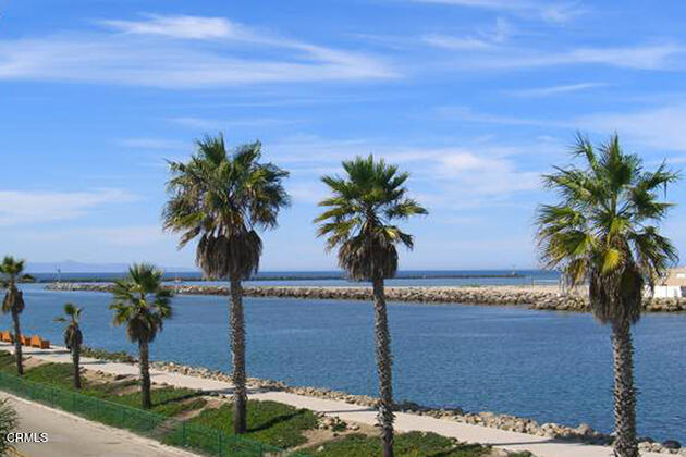 Palm Trees Marina Entrance