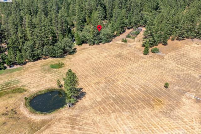23875 Marshall Way, Twain Harte CA: https://media.crmls.org/mediaz/1dcb6754-ce44-4a7c-91e9-3e31b2874270.jpg