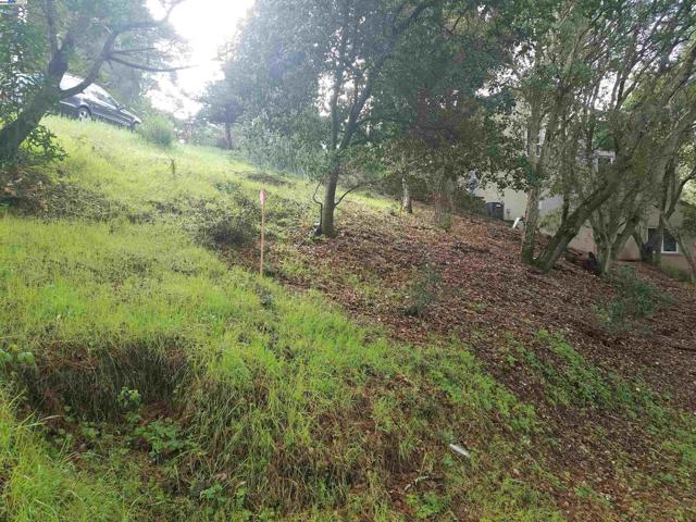 12 Vista Del Orinda, Orinda CA: https://media.crmls.org/mediaz/1dd11666-0f93-4e4a-b1c4-0ba5c0f31d33.jpg