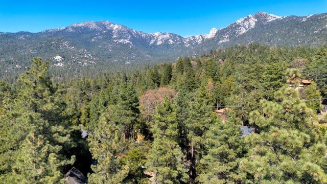 26785 Crestview Drive, Idyllwild CA: https://media.crmls.org/mediaz/1dd1f816-6fa6-4f77-9ad8-720ebc5f3334.jpg