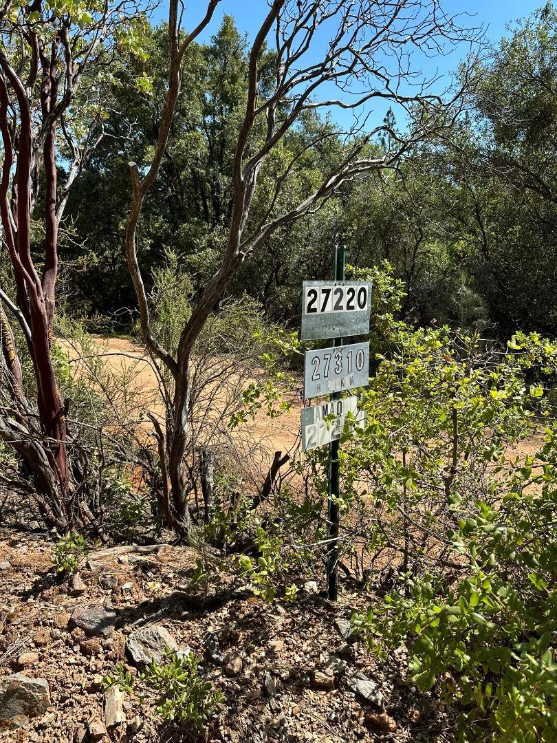 MLS #ML81974509 image #11