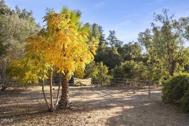 Detail Gallery Image 16 of 47 For 4306 Hendrickson Rd, Ojai,  CA 93023 - 4 Beds | 3 Baths