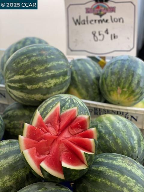 2933 Ptarmigan Dr, Walnut Creek CA: https://media.crmls.org/mediaz/1dda4017-026d-409d-993b-c8ed98f2f60f.jpg