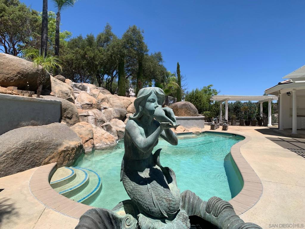 MLS #250034393SD img 53