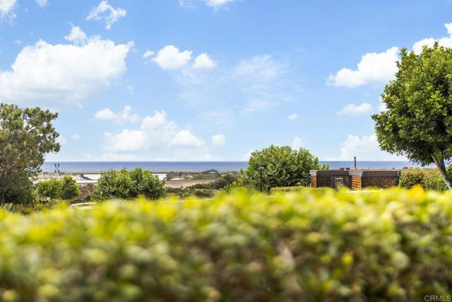 12859 Caminito del Canto, Del Mar CA: https://media.crmls.org/mediaz/1de30f9a-171a-470d-8814-06f08f8b1eac.jpg