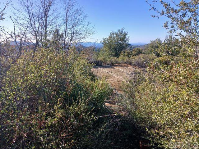 Image 8 of 9 For 5717 Acorn Patch Rd