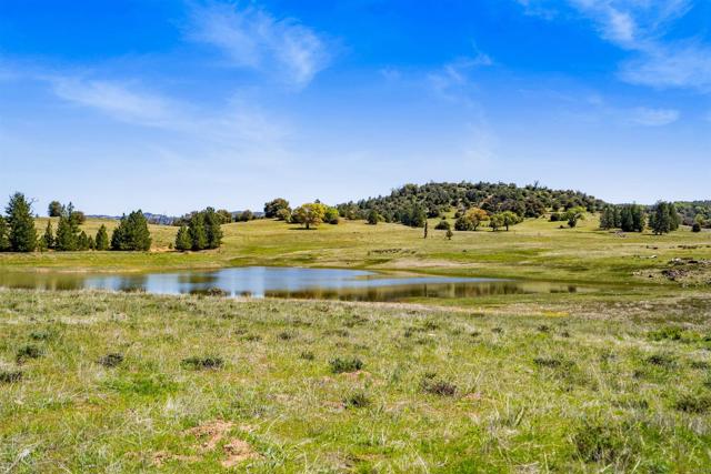 3510 Deer Lake Park Road, Julian CA: https://media.crmls.org/mediaz/1def9c3a-469b-4b4f-a3aa-68184e63bc33.jpg