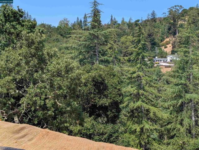 13 St James Court, Orinda CA: https://media.crmls.org/mediaz/1df76f8e-9030-49de-a123-716c840ae0c4.jpg