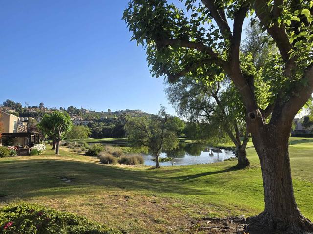 Detail Gallery Image 41 of 49 For 23851 Green Haven Ln, Ramona,  CA 92065 - 3 Beds | 3 Baths