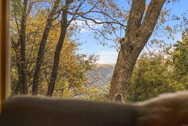 Detail Gallery Image 5 of 36 For 21932 Crestline Rd, Palomar Mountain,  CA 92060 - 1 Beds | 1 Baths