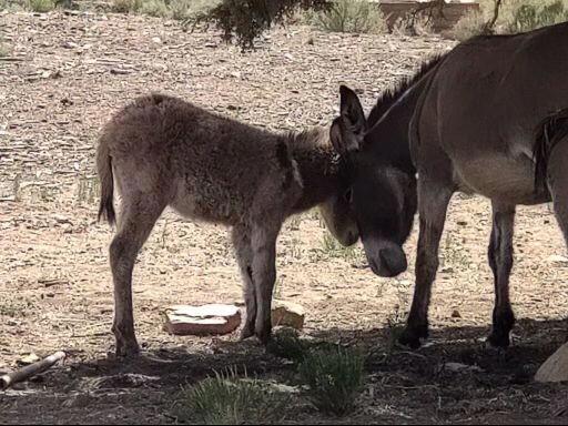550 Eagle Ridge, Big Bear CA: https://media.crmls.org/mediaz/1e03f4e3-ea9e-4c46-8915-11d4a0b07e57.jpg