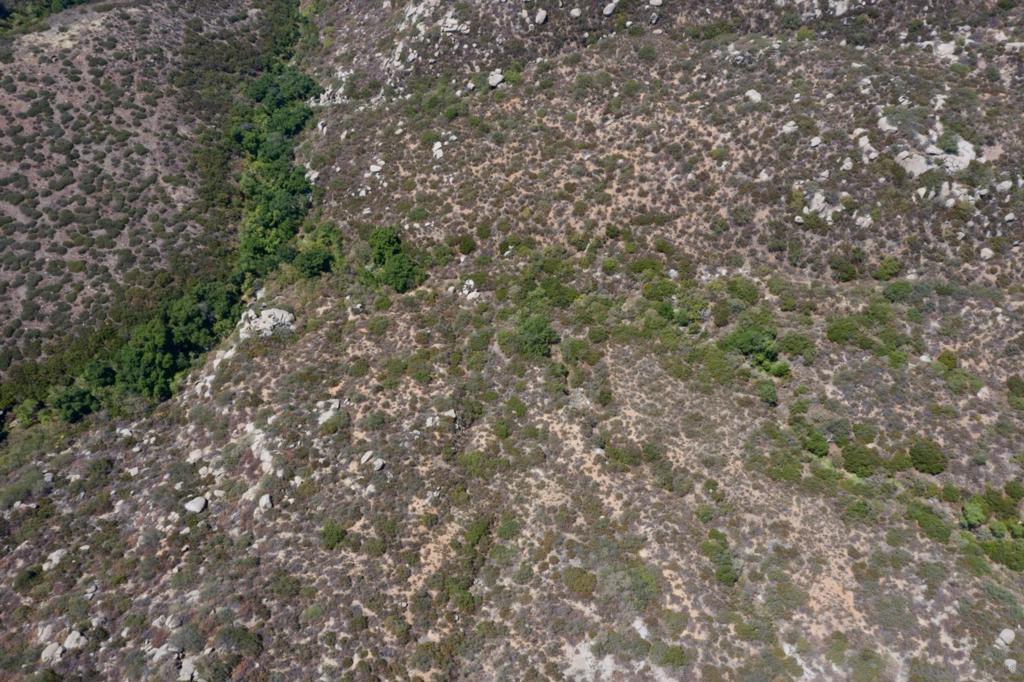 MLS #250035511SD image #31