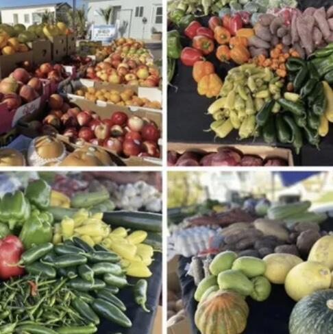 Image 22 of 41 For 74711 Dillon Rd Spc 1013