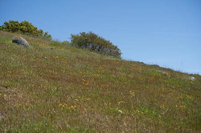 100 Old Stage Rd, San Juan Bautista CA: https://media.crmls.org/mediaz/1e12ac57-adf6-4f37-84dc-fe139c3b4362.jpg