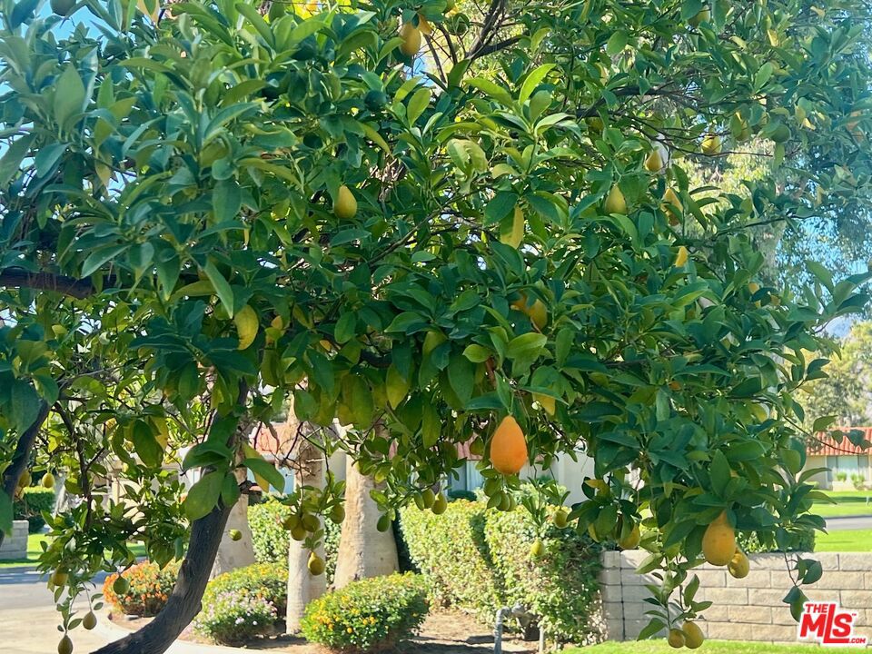 MLS #25612225 image #28