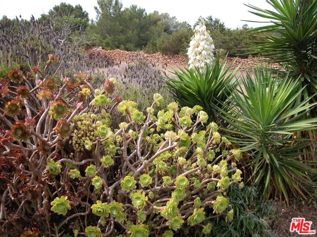 5169 Can Esperanza Toni Venda De Sa Tallaiassa,  CA: https://media.crmls.org/mediaz/1e239016-bafc-495c-b4d9-ce605a0e9ef1.jpg