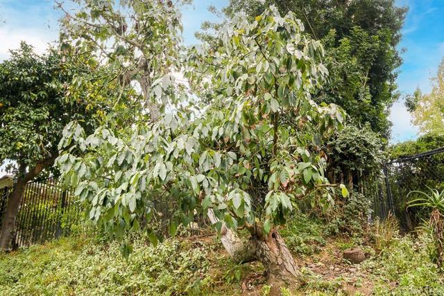 2719 Via Del Robles, Fallbrook CA: https://media.crmls.org/mediaz/1e23d817-f686-4dc8-b5f3-24fa3665e40f.jpg