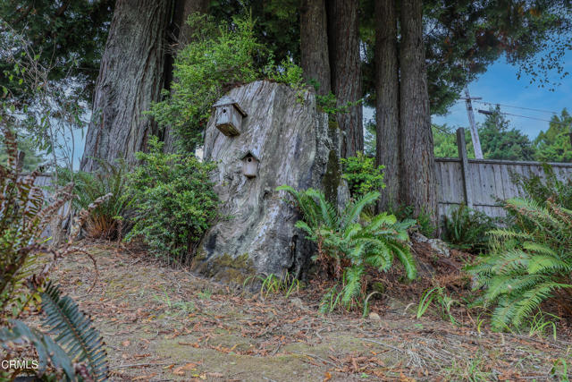 Detail Gallery Image 39 of 74 For 31600 Little Valley Rd, Fort Bragg,  CA 95437 - 3 Beds | 2 Baths