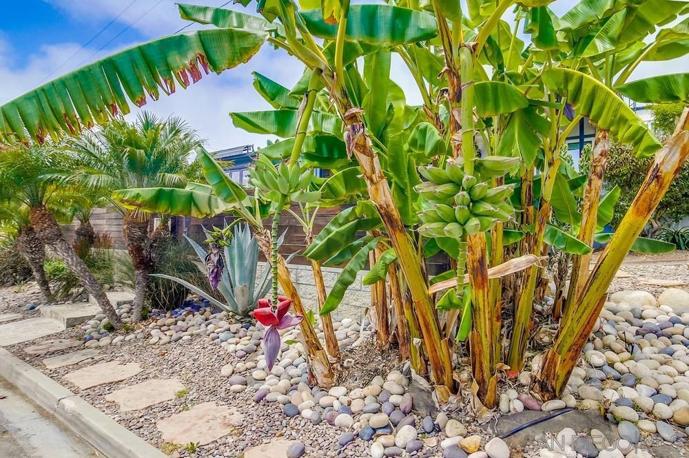 MLS #250036039SD img 48