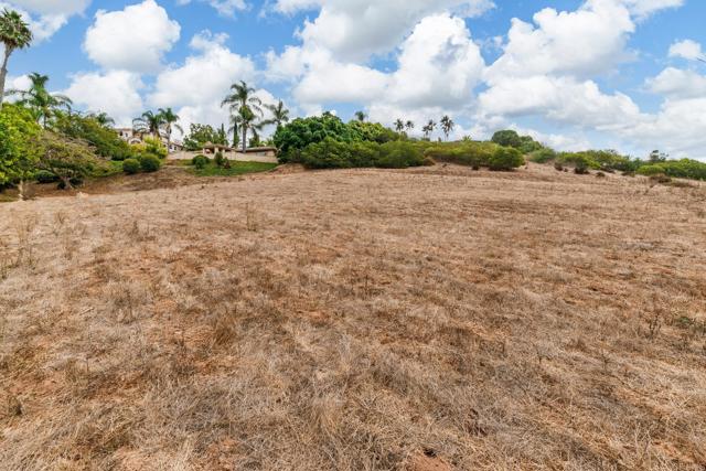 18174 Via Ascenso, Rancho Santa Fe CA: https://media.crmls.org/mediaz/1e2d839d-eb56-4a54-b255-d33e1cc068d0.jpg