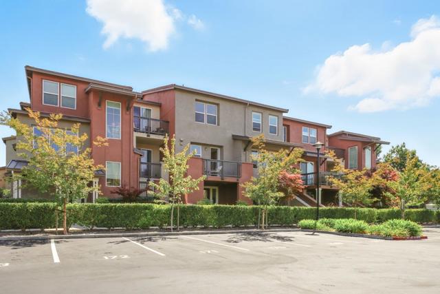 930 Highland Terrace, Sunnyvale CA: https://media.crmls.org/mediaz/1e2edcc0-ca14-4a0d-9dc7-22fb9ea331b7.jpg