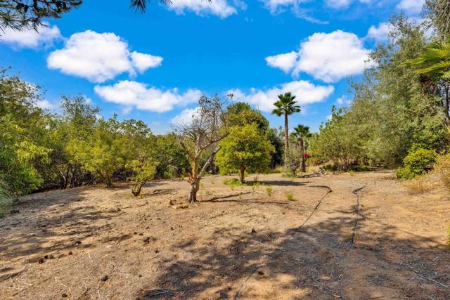 15235 Crestview Ct, Poway CA: https://media.crmls.org/mediaz/1e30ef84-38f8-45f7-9933-3e87cbc01b77.jpg