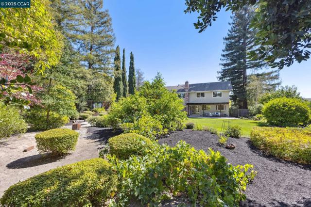 800 El Capitan Drive, Danville, California 94526, 4 Bedrooms Bedrooms, ,2 BathroomsBathrooms,Single Family Residence,For Sale,El Capitan Drive,41112507