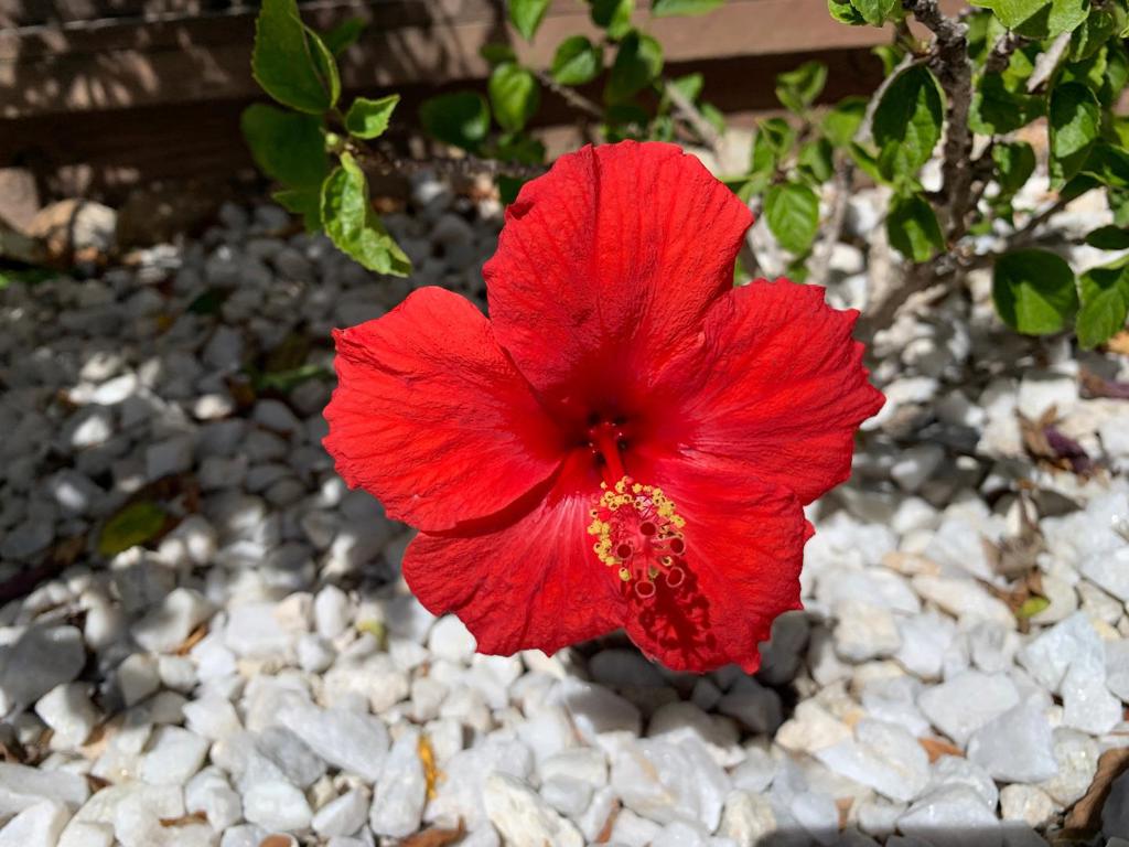 https://media.crmls.org/mediaz/1e3582ad-9ce1-477b-9c4e-1f9a7b753429.jpg?preset=X-Large