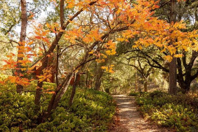 23200 Encinal Court, Los Altos Hills CA: https://media.crmls.org/mediaz/1e3f8143-a497-4ee9-acfd-9c900326d18c.jpg