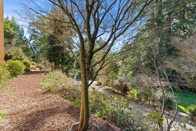 23185 Old Santa Cruz Highway, Los Gatos CA: https://media.crmls.org/mediaz/1e4d75b5-1a99-46af-b9df-76ab3363b7f7.jpg