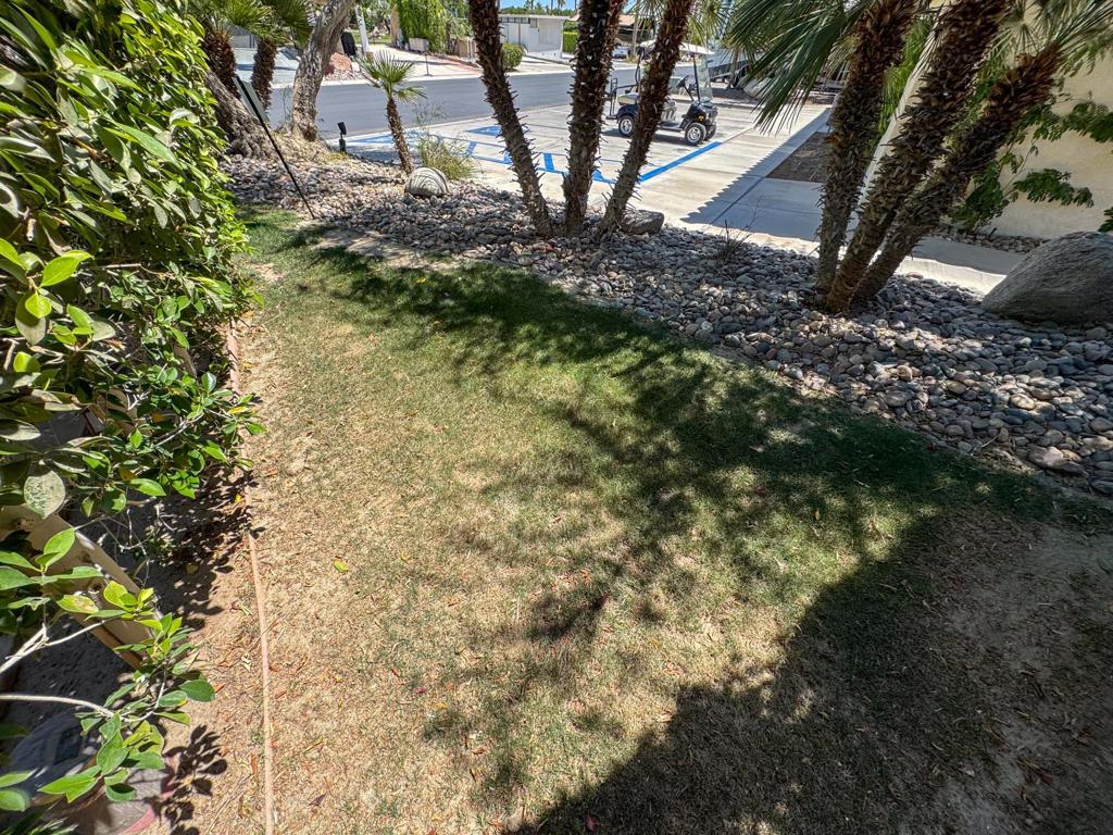 MLS #219130438DA image #6