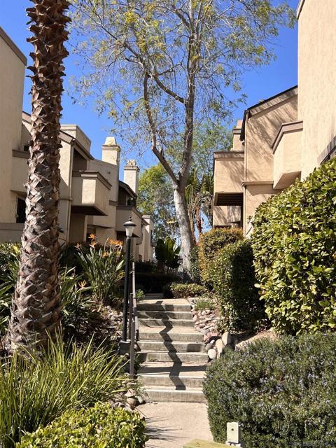 3205 Via Alicante, La Jolla, California 92037, 2 Bedrooms Bedrooms, ,1 BathroomBathrooms,Condominium,For Sale,Via Alicante,250020248SD