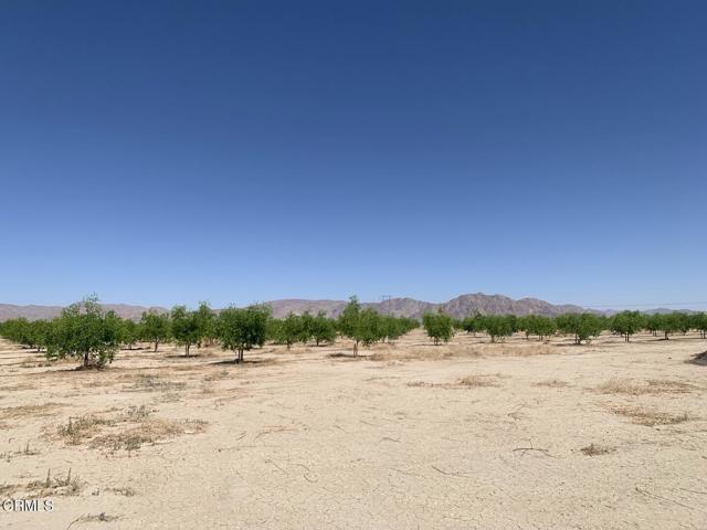 12500 Locust Avenue, Lucerne Valley CA: https://media.crmls.org/mediaz/1e66b2fa-0232-4350-b38a-21a9d9619a02.jpg