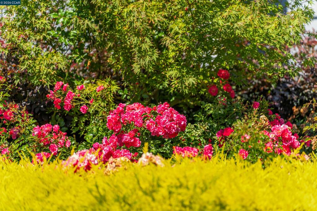 https://media.crmls.org/mediaz/1e6f6d3b-747c-47bf-8e72-07684aa44f9c.jpg?preset=X-Large