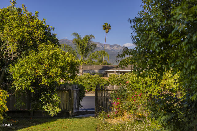 Detail Gallery Image 3 of 27 For 1141 Anita Ave, Ojai,  CA 93023 - 2 Beds | 1 Baths
