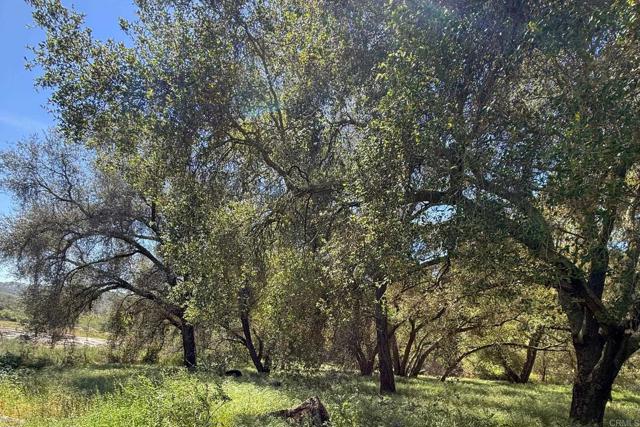 Detail Gallery Image 64 of 74 For 26940 Paradise Meadow Ln, Valley Center,  CA 92082 - 3 Beds | 2 Baths